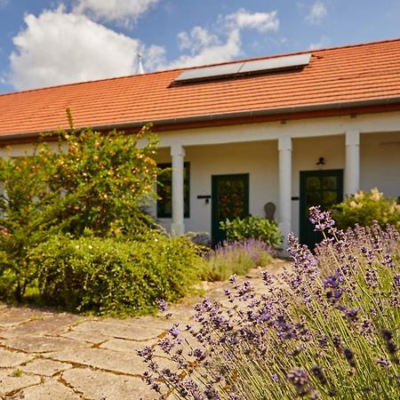 Barta Pince Vendégház Mád Exterior foto